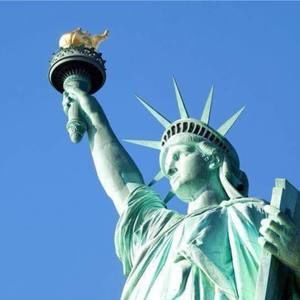 Meet your Posher, Osama